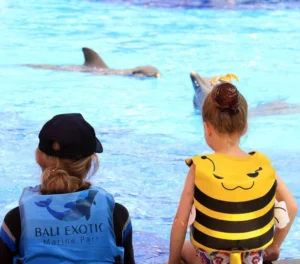 bali dolphin therapy & education center