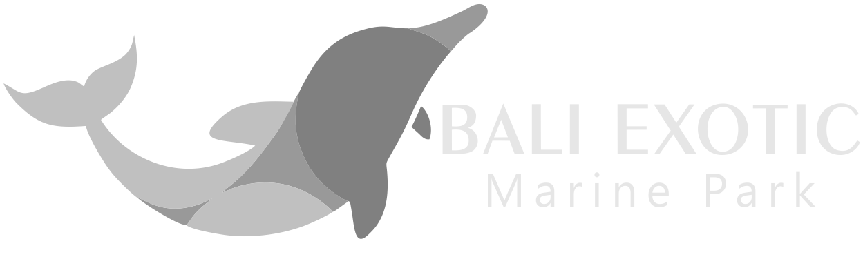 Bali Dolphin Park