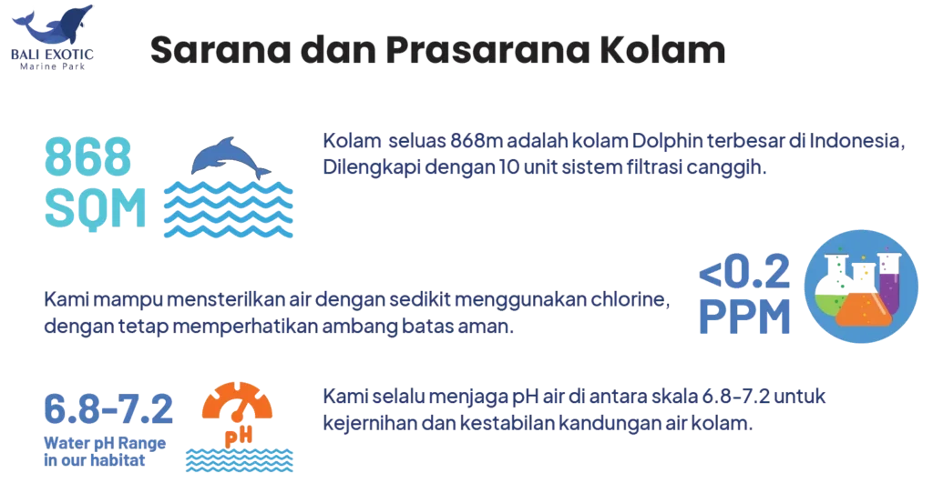 dolphin pool maintenance
