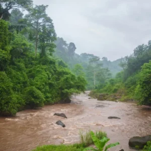 bali flooding