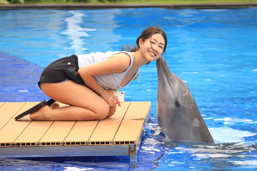 Dolphin Swim Bali: Popular Tourism with Adorable Animals
