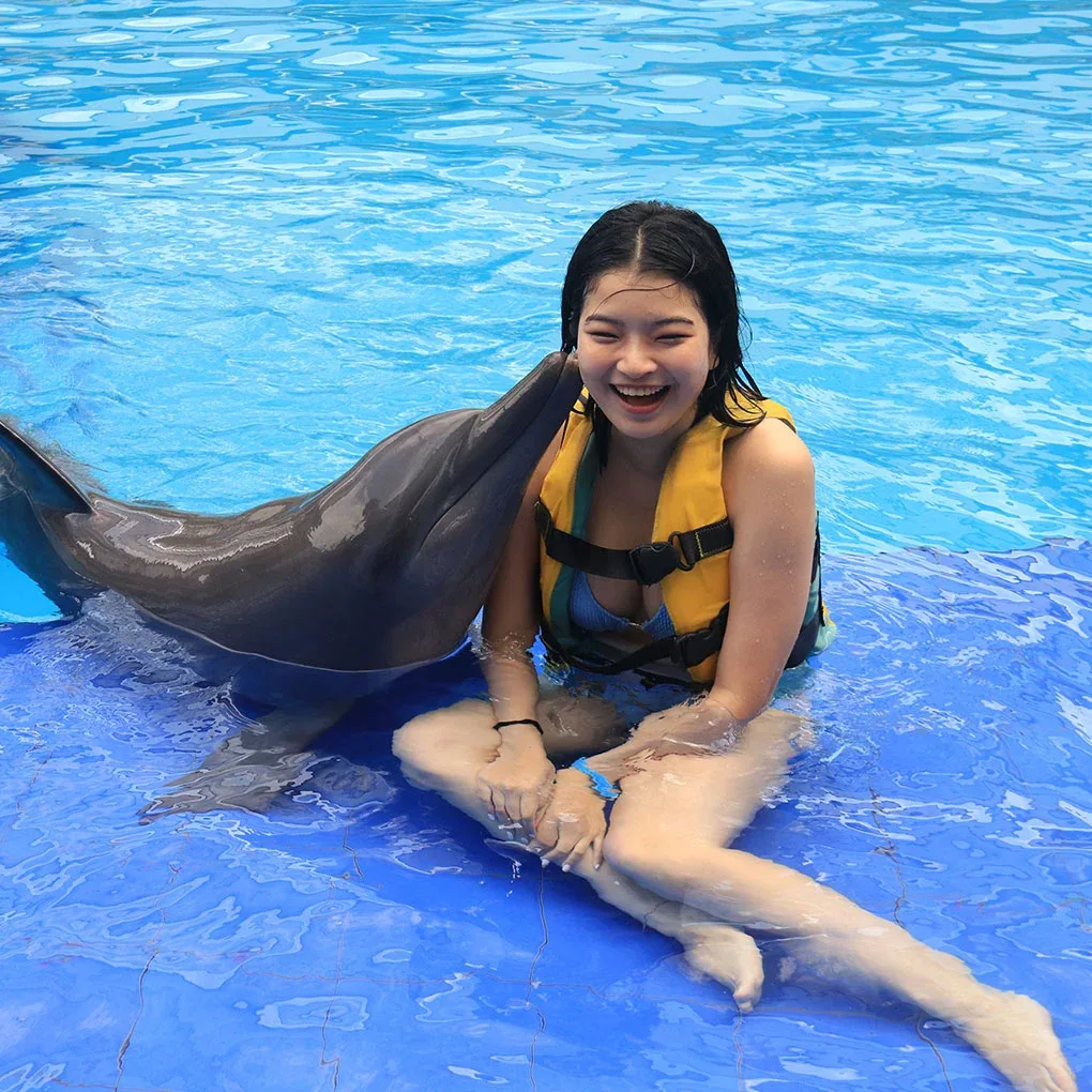 Arafik the Smart Dolphin in Bali