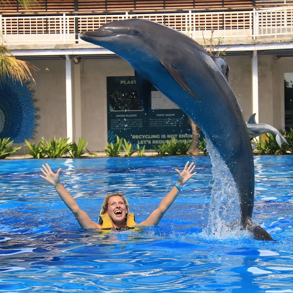 animal sanctuary bali, bali animal sanctuary, bali safari and marine park photos, balinese animals, dolphin marine conservation park, dolphin rescue, kis applications 2024, pet porpoise pool swim with dolphins, swim with the dolphins in bali