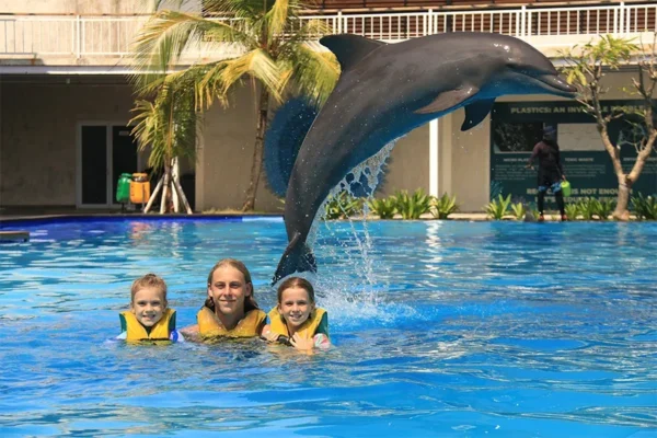 animal sanctuary bali, bali animal sanctuary, bali safari and marine park photos, balinese animals, dolphin marine conservation park, dolphin rescue, kis applications 2024, pet porpoise pool swim with dolphins, swim with the dolphins in bali