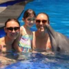 animal sanctuary bali, bali animal sanctuary, bali safari and marine park photos, balinese animals, dolphin marine conservation park, dolphin rescue, kis applications 2024, pet porpoise pool swim with dolphins, swim with the dolphins in bali