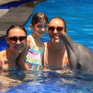 animal sanctuary bali, bali animal sanctuary, bali safari and marine park photos, balinese animals, dolphin marine conservation park, dolphin rescue, kis applications 2024, pet porpoise pool swim with dolphins, swim with the dolphins in bali