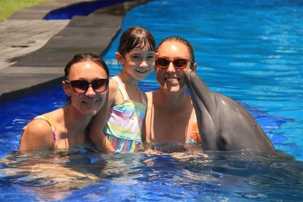 animal sanctuary bali, bali animal sanctuary, bali safari and marine park photos, balinese animals, dolphin marine conservation park, dolphin rescue, kis applications 2024, pet porpoise pool swim with dolphins, swim with the dolphins in bali