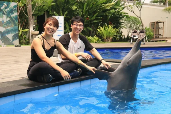 Bali Dolphin Encounter Program – Foreigners Adult