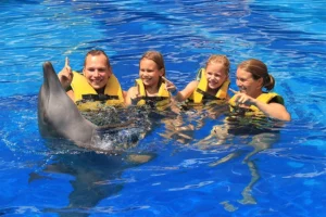 발리 돌고래와 함께 수영하기, encounter bali dolphins, dolphins in bali