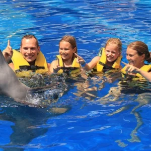 encounter bali dolphins