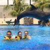 animal sanctuary bali, bali animal sanctuary, bali safari and marine park photos, balinese animals, dolphin marine conservation park, dolphin rescue, kis applications 2024, pet porpoise pool swim with dolphins, swim with the dolphins in bali