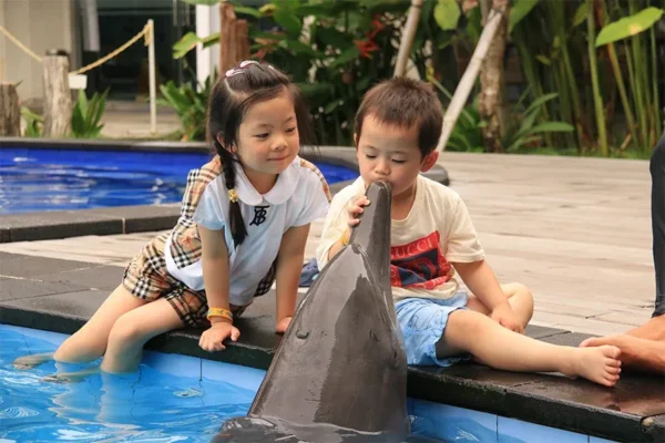 Bali Dolphin Encounter Program – Foreigners Child