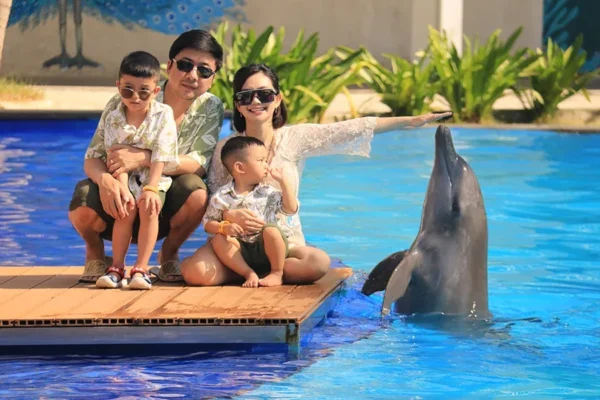 animal sanctuary bali, bali animal sanctuary, bali safari and marine park photos, balinese animals, dolphin marine conservation park, dolphin rescue, kis applications 2024, pet porpoise pool swim with dolphins, swim with the dolphins in bali