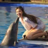 animal sanctuary bali, bali animal sanctuary, bali safari and marine park photos, balinese animals, dolphin marine conservation park, dolphin rescue, kis applications 2024, pet porpoise pool swim with dolphins, swim with the dolphins in bali