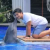 Experience Finding a Bali Dolphin