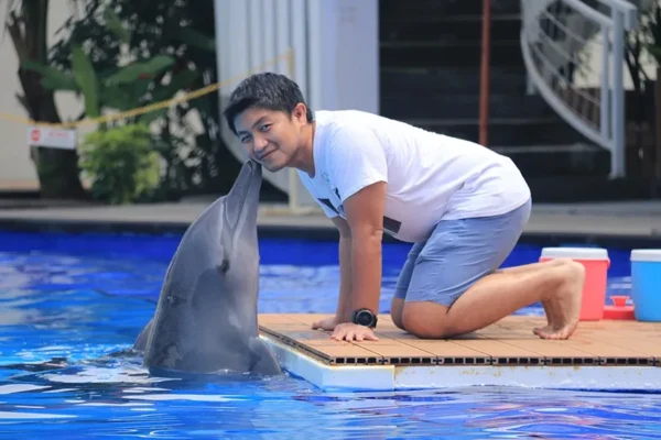 Experience Finding a Bali Dolphin