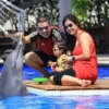 animal sanctuary bali, bali animal sanctuary, bali safari and marine park photos, balinese animals, dolphin marine conservation park, dolphin rescue, kis applications 2024, pet porpoise pool swim with dolphins, swim with the dolphins in bali