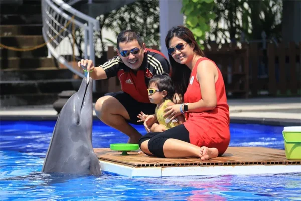 animal sanctuary bali, bali animal sanctuary, bali safari and marine park photos, balinese animals, dolphin marine conservation park, dolphin rescue, kis applications 2024, pet porpoise pool swim with dolphins, swim with the dolphins in bali