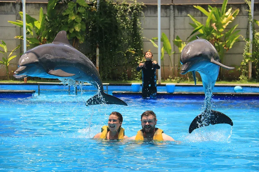 Berenang Bersama Lumba-lumba di Bali Exotic Marine Park