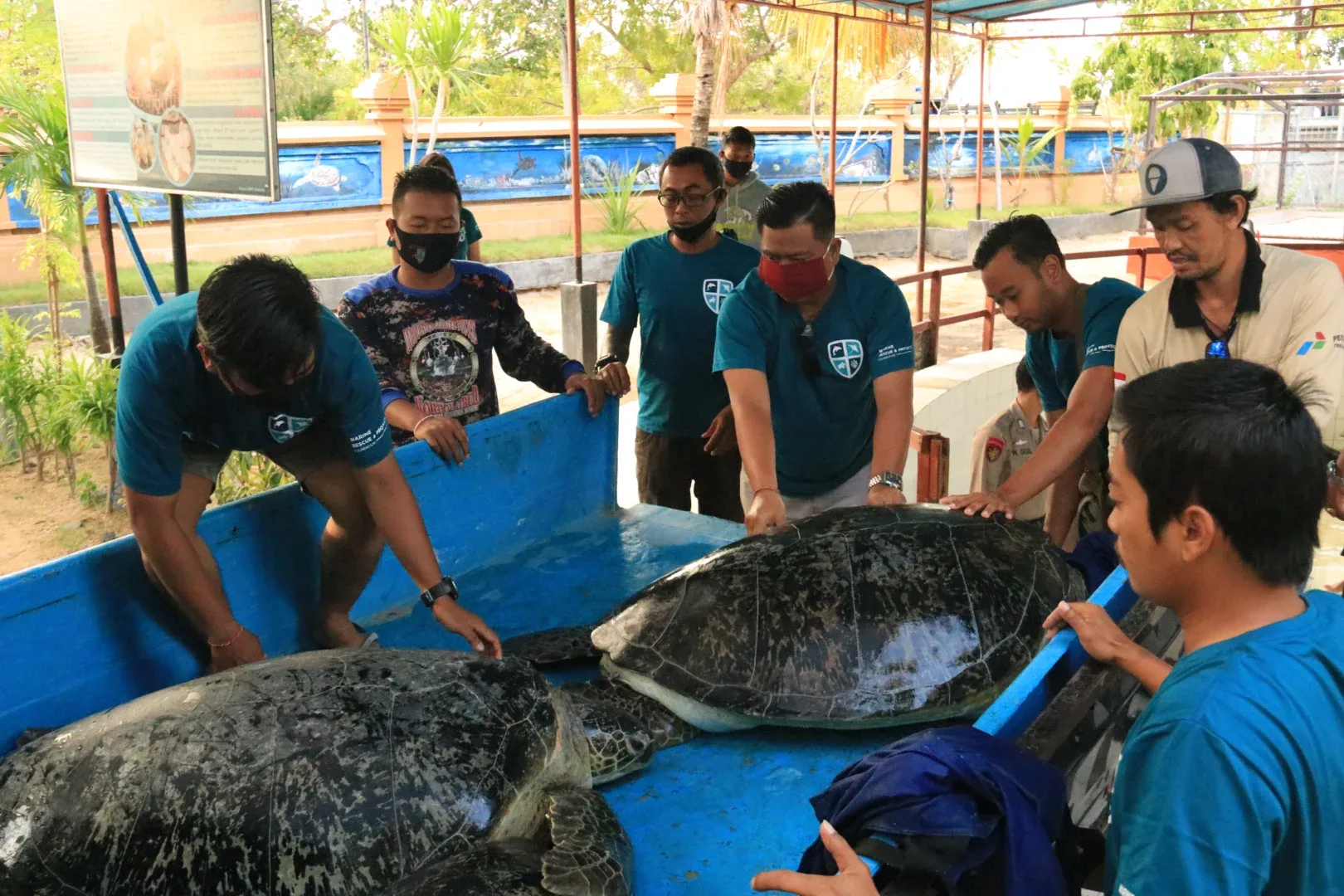 Exotic Recap: Bali Exotic Marine Park's Conservation Achievements in 2020