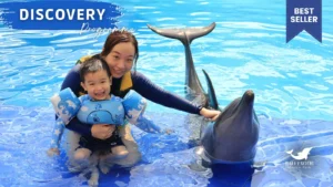 discovery program | Bali Exotic Marine Park animal sanctuary bali, bali animal sanctuary, bali safari and marine park photos, balinese animals, dolphin marine conservation park, dolphin rescue, kis applications 2024, pet porpoise pool swim with dolphins, swim with the dolphins in bali