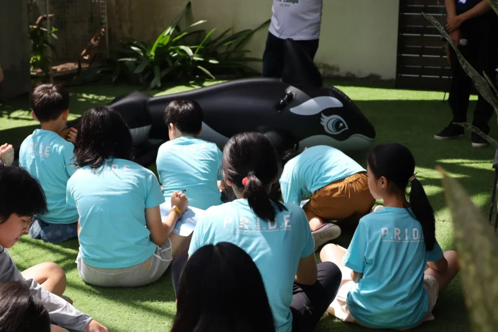 animal sanctuary bali, bali animal sanctuary, bali safari and marine park photos, balinese animals, dolphin marine conservation park, dolphin rescue, kis applications 2024, pet porpoise pool swim with dolphins, swim with the dolphins in bali