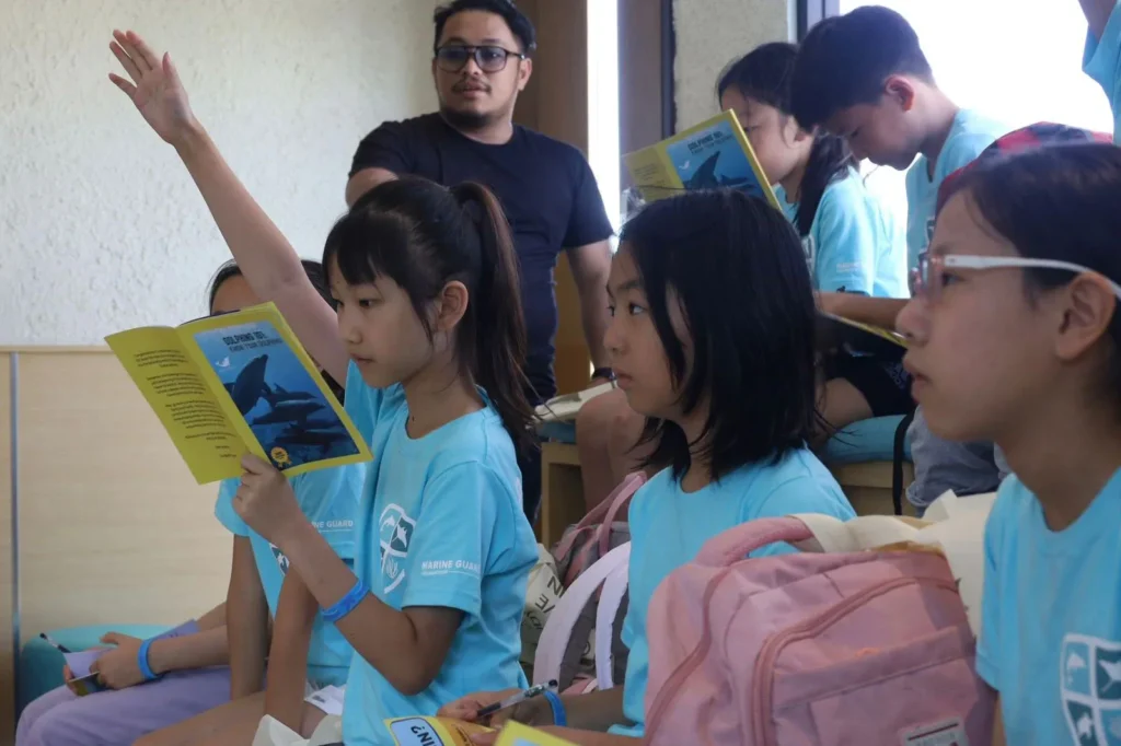 Dolphin Ecotourism in Bali, dolphin in bali, dolphins in bali