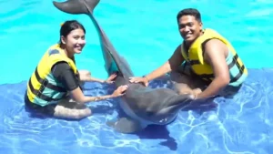 things to do in Bali