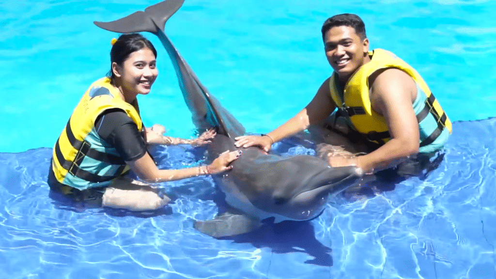 Bali Dolphin Swimming
