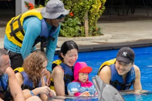 Marine Safari Bali, swimming with dolphin bali