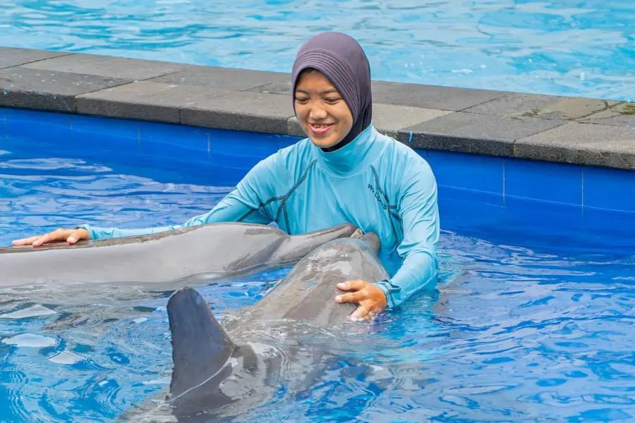 Swim with Dolphin Bali: Is It Worth It? 2026 Honest Review
