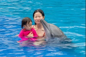 activities in Bali, dolphin Bali experience
