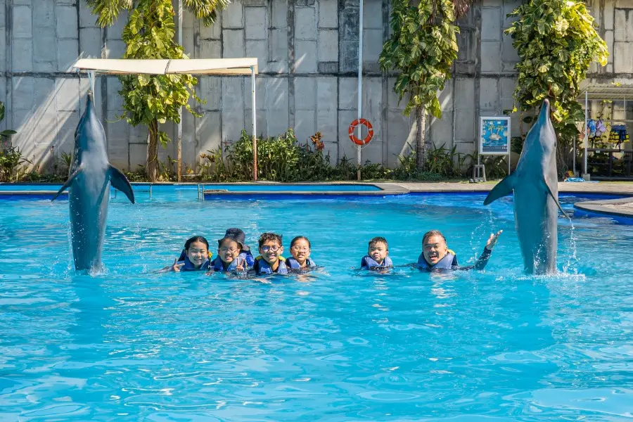 Best Time to See Dolphins in Bali | Dolphin Interaction at Bali Exotic Marine Park | balidolphinmarinepark.com