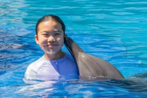 Best Time to See Dolphins in Bali | Dolphin Interaction at Bali Exotic Marine Park | balidolphinmarinepark.com