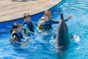 private dolphin swim Bali