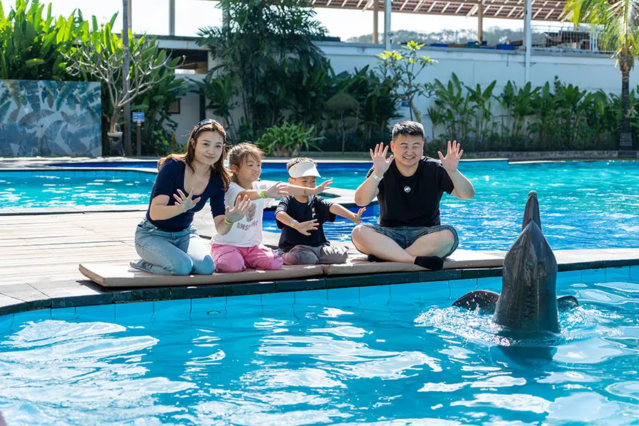 Bali Swim With Dolphins Adventure