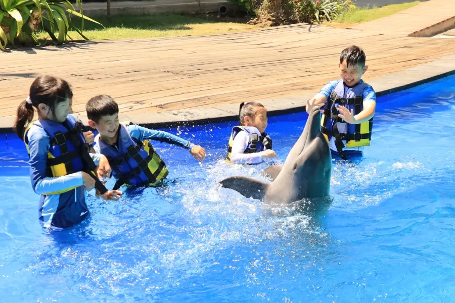 pride academy, swim with dolphin bali