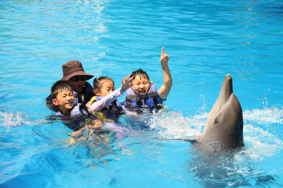 pride academy, swim with dolphin bali