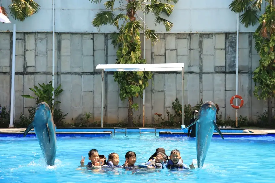 pride academy, swim with dolphin bali