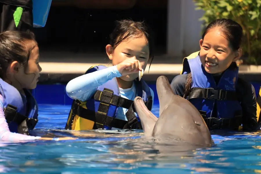 pride academy, swim with dolphin bali