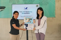 bali, exotic marine park, animal sanctuary bali, bali animal sanctuary, bali safari and marine park photos, balinese animals, dolphin marine conservation park, dolphin rescue, kis applications 2024, pet porpoise pool swim with dolphins, swim with the dolphins in bali