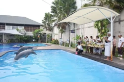 tumpek kandang bemp 4